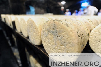 В Алтайском крае начали вупускать сыр с плесенью