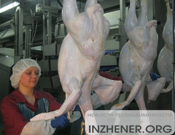 В Омской области заработала фабрика по производству мяса индейки